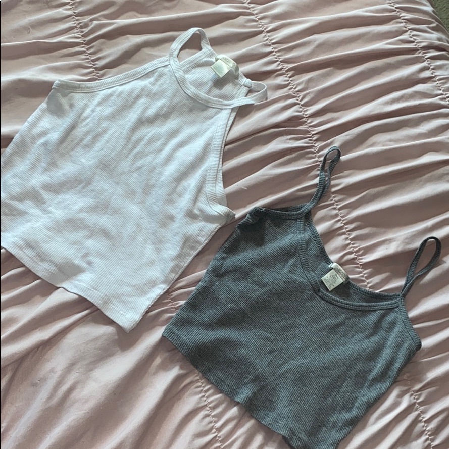 2for1 Basic Crops